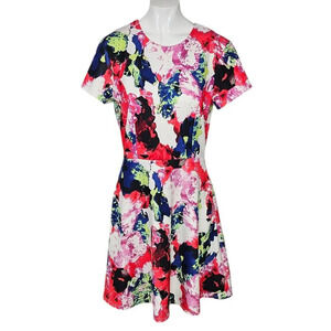 Milly Design Nation Abstract Floral Fit & Flare Dress Size 8 Zip Back Pockets
